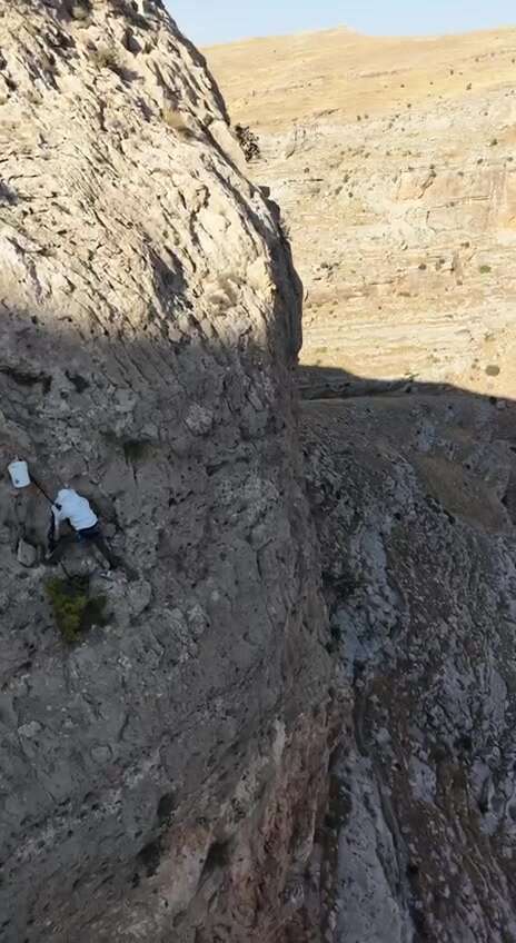 Yüzlerce metrede tehlikeli hasat! Kilosu 15 bin TL’den satılıyor 6